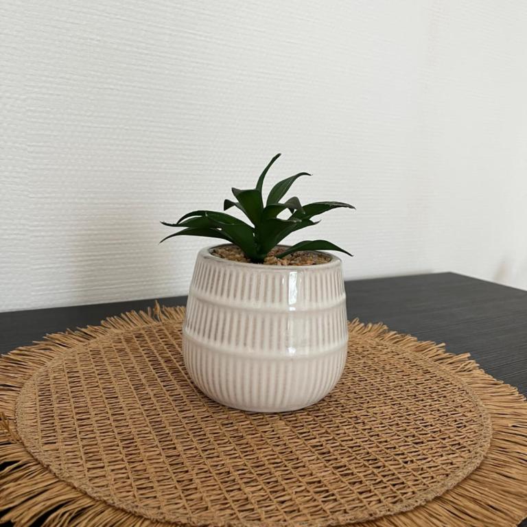 Studio le Cerisier - Appartement 1 Chambre - 6