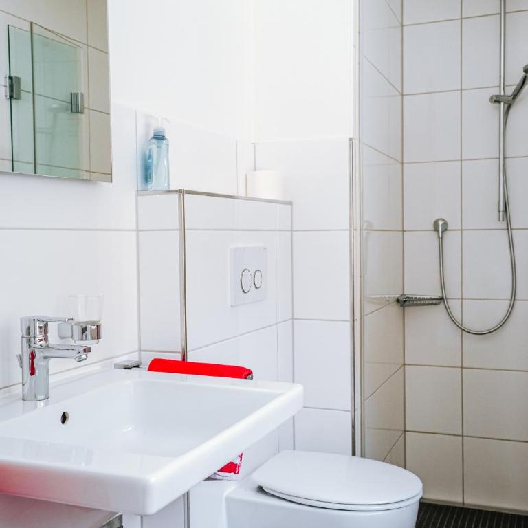 Ferienwohnungen Quellenhof - Apartment 6 mit Bergblick - 6