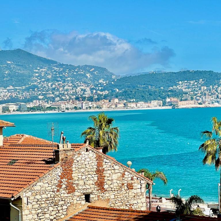 ApartHotel Riviera - Terrasse des Bougainvillees - 100m Promenade des Anglais - Appartement avec Terrasse - 15