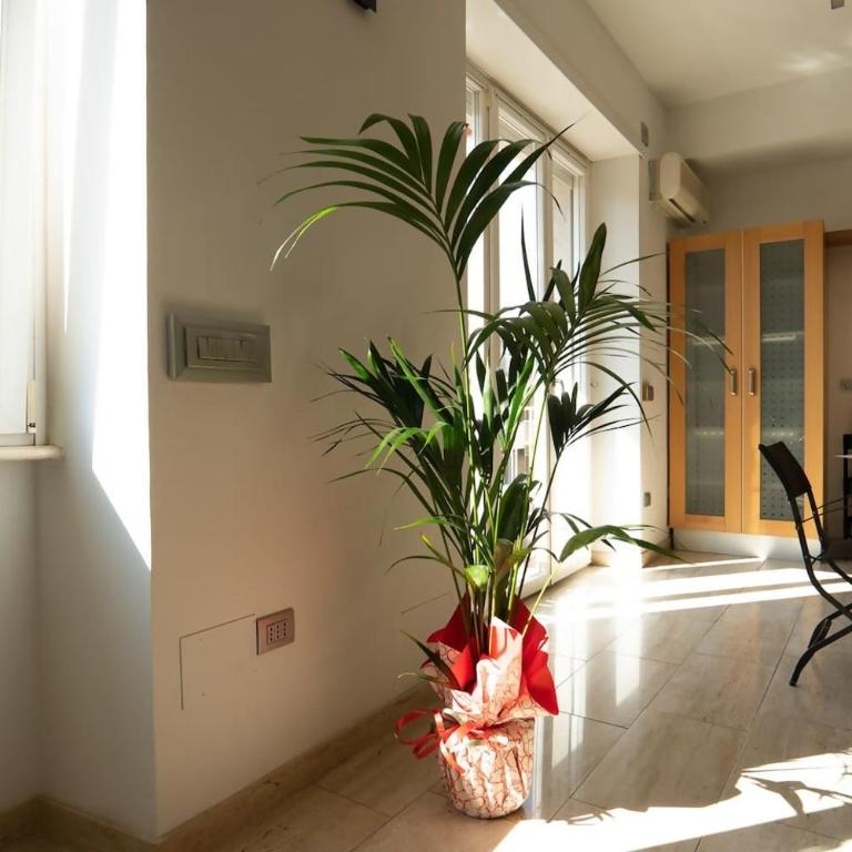 Gabbo - House - Two-Bedroom Apartment - 8