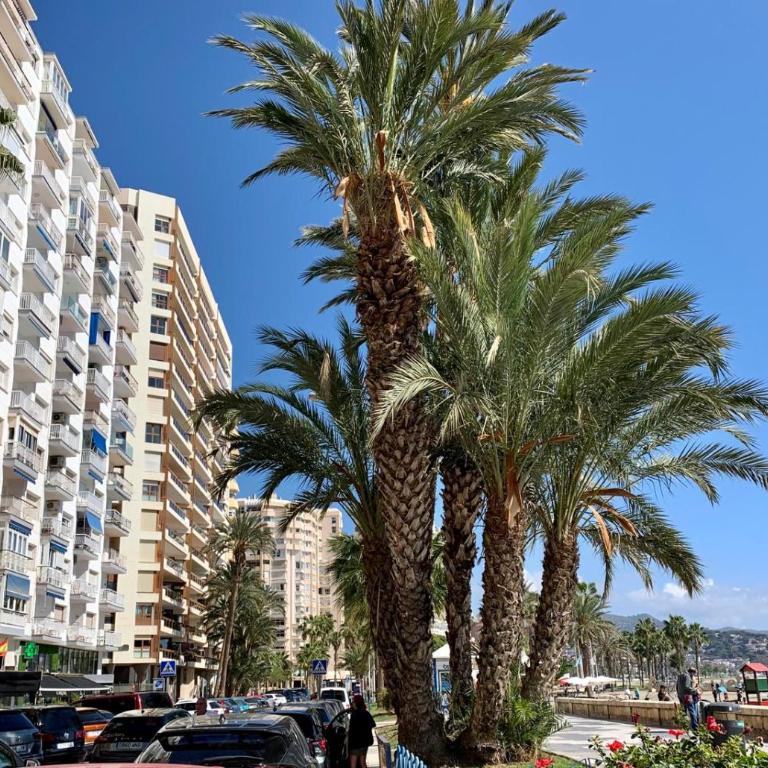 Estudio en playa La Malagueta - Apartamento de 1 dormitorio - 7