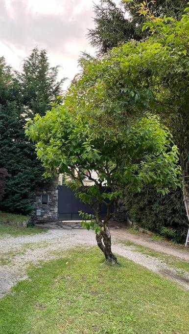 Charming Villa Giancarla - Casa con 3 Camere da Letto - 7