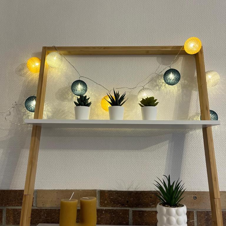 Studio le Cerisier - Appartement 1 Chambre - 7