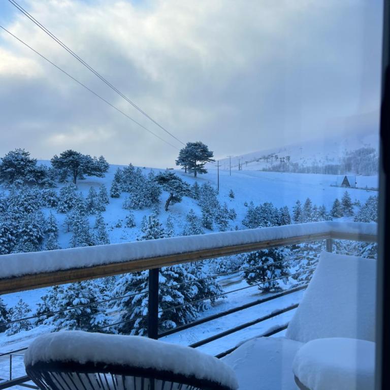 Zlatibor Wild - Vila sa 2 Spavaće Sobe - 16