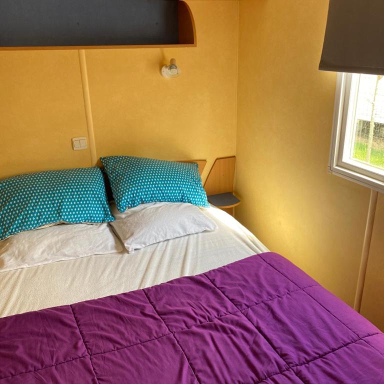 Mobil Home 5 personnes - Camping *** Les Ollivaud- - Mobile Home - 4