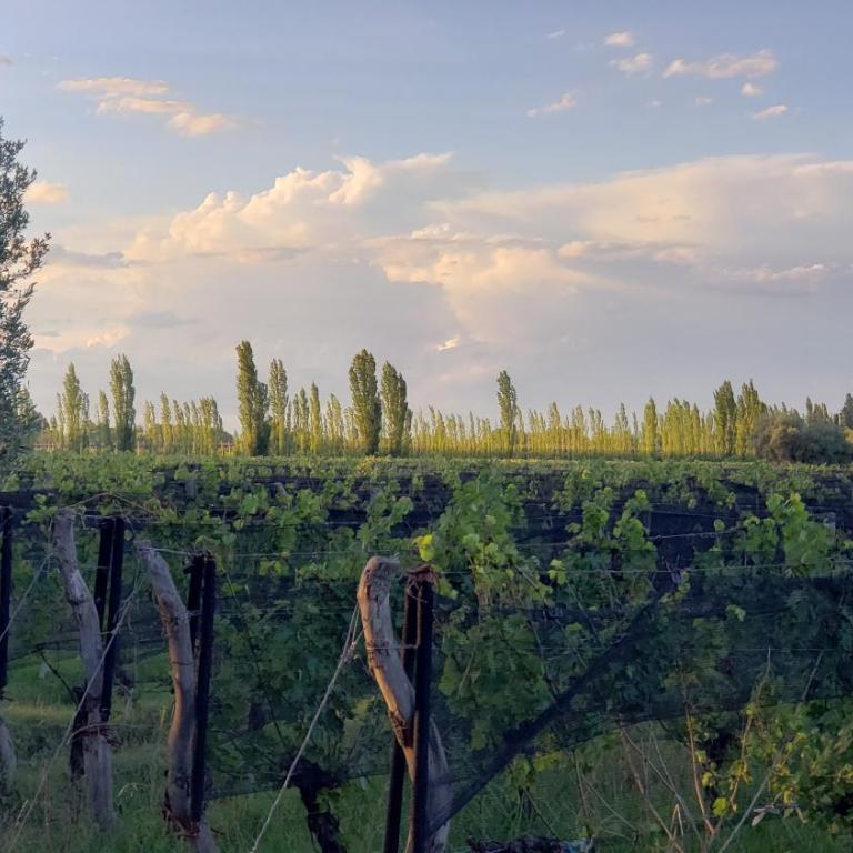 CASA DE CAMPO EN SAN RAFAEL - Casa con 1 dormitorio - 11