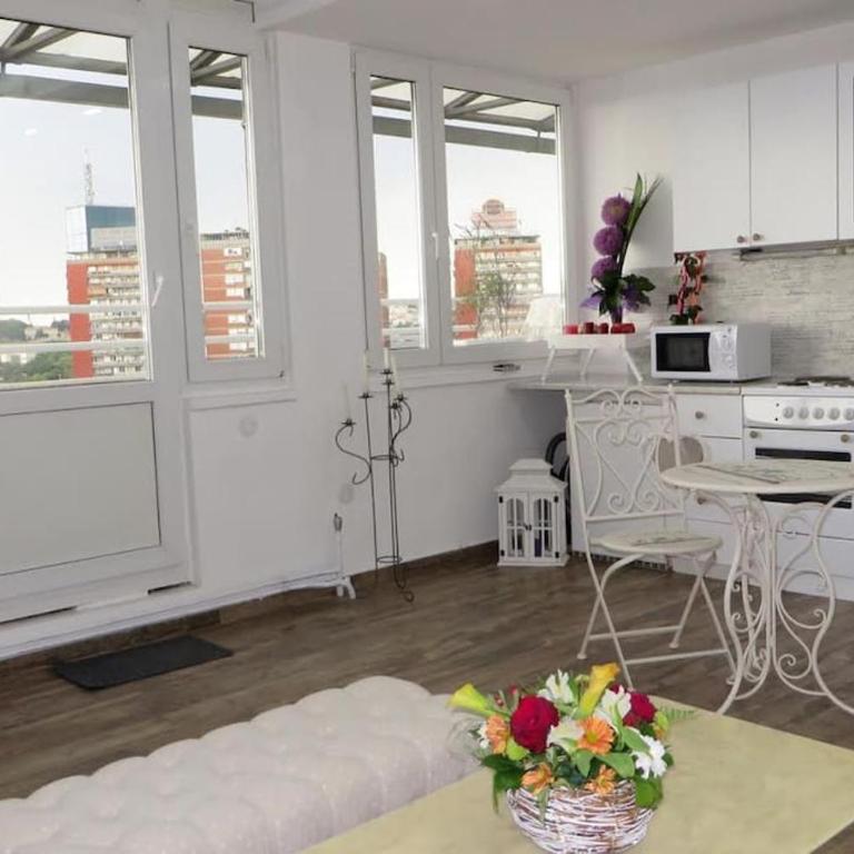 Rooftop New Belgrade Apartment - Apartman sa 1 Spavaćom Sobom - 9