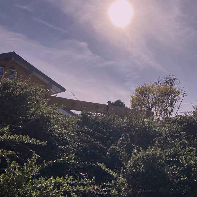 Alpenflair Ferienwohnungen Schulz - Apartment mit 1 Schlafzimmer - 21