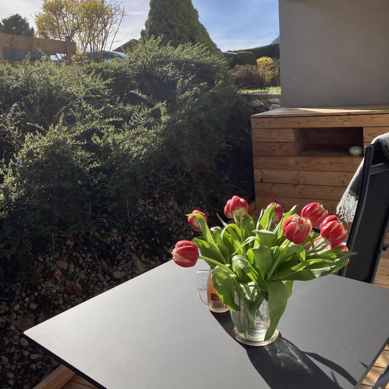 Alpenflair Ferienwohnungen Schulz - Apartment mit 1 Schlafzimmer - 19