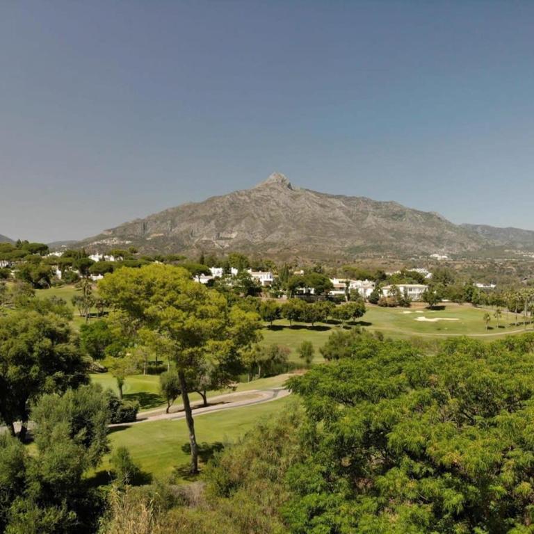 Aloha Gardens Pools BBQ Wifi Garden Apartment - Apartamento - 25