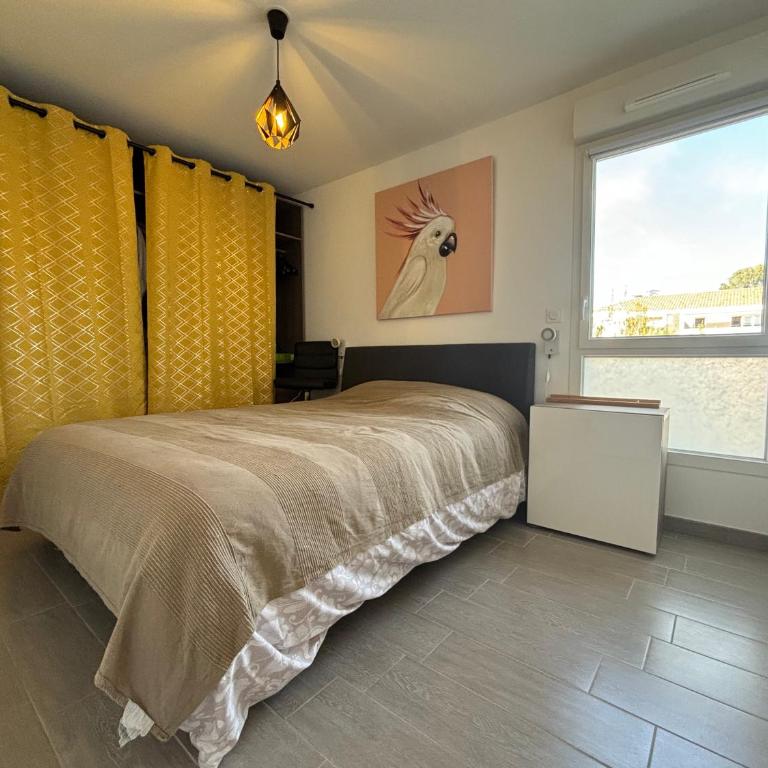 Charmant T2 avec piscine - Appartement 1 Chambre - 11