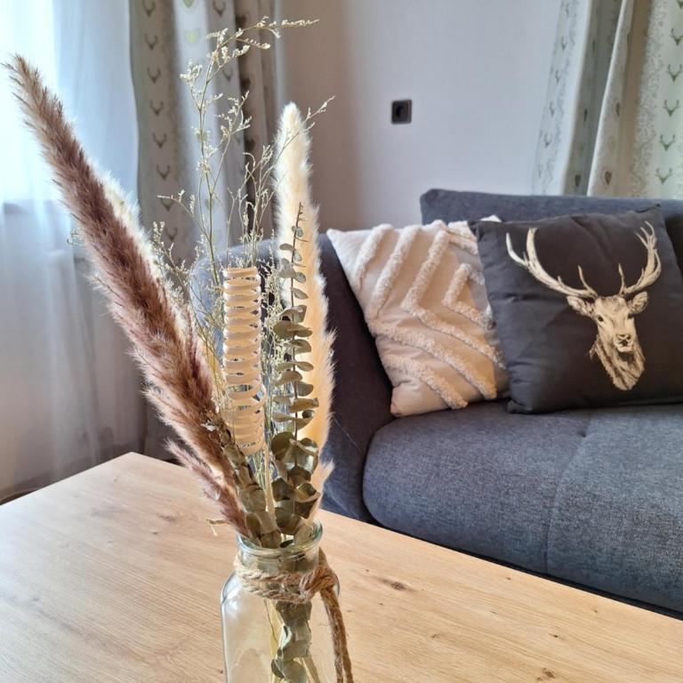 Appartement Bergliebe-Schneiderbauer - Two-Bedroom Apartment - 16
