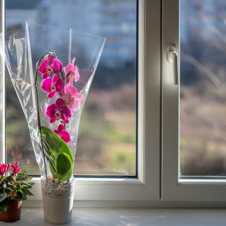 Apartman Mila Trebinje - Standardni Studio - 8
