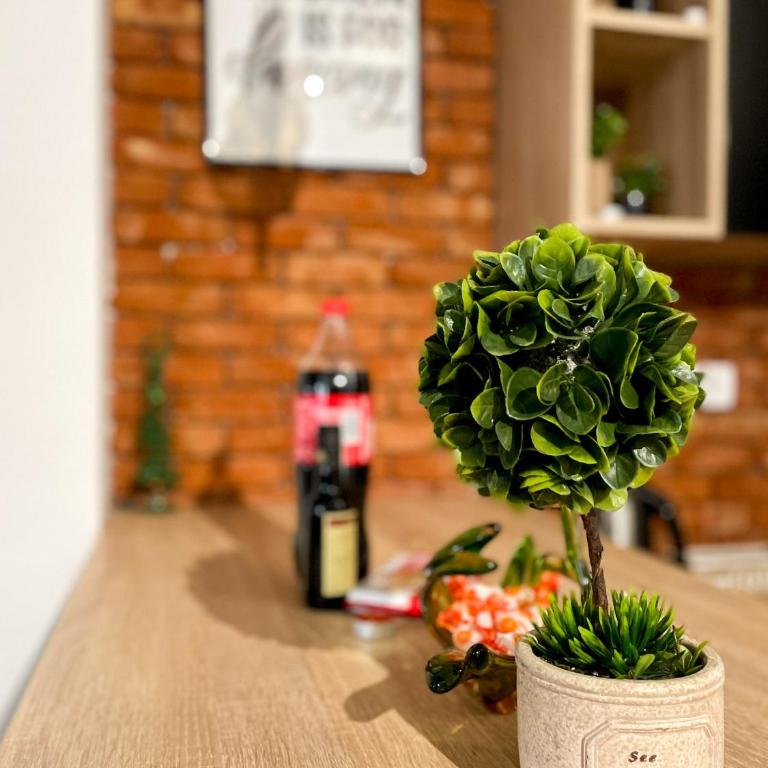 Apartman Ceca Pale - One-Bedroom Apartment - 11