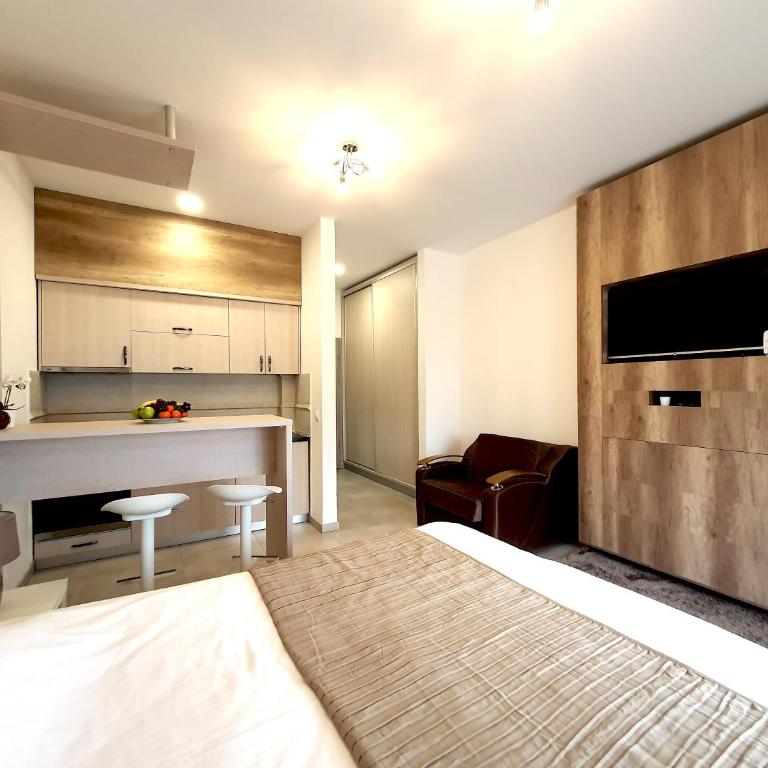 Zlatibor Hills Apartments Wellnes & Spa - Deluks Studio sa Bračnim Krevetom (King-size) - 14