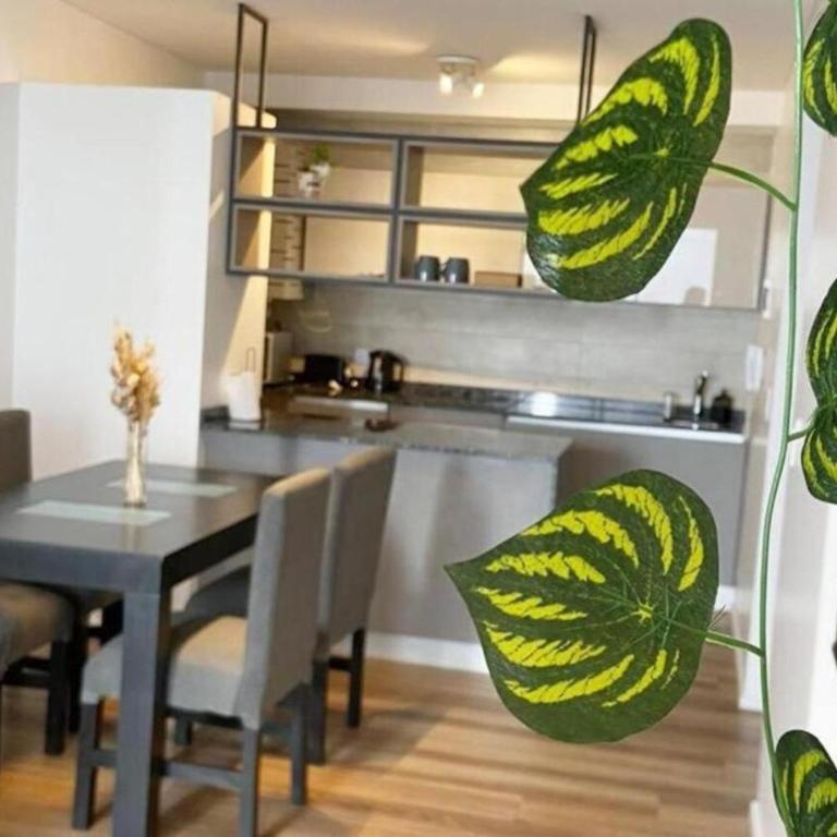 Calido Departamento en Palermo Chico - Apartamento de 1 dormitorio - 13