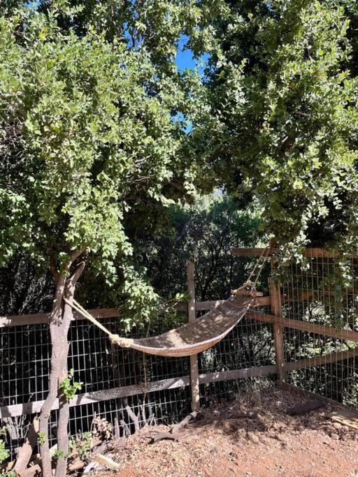 Cabaña ecológica y aislada - Chalet de 1 dormitorio - 5