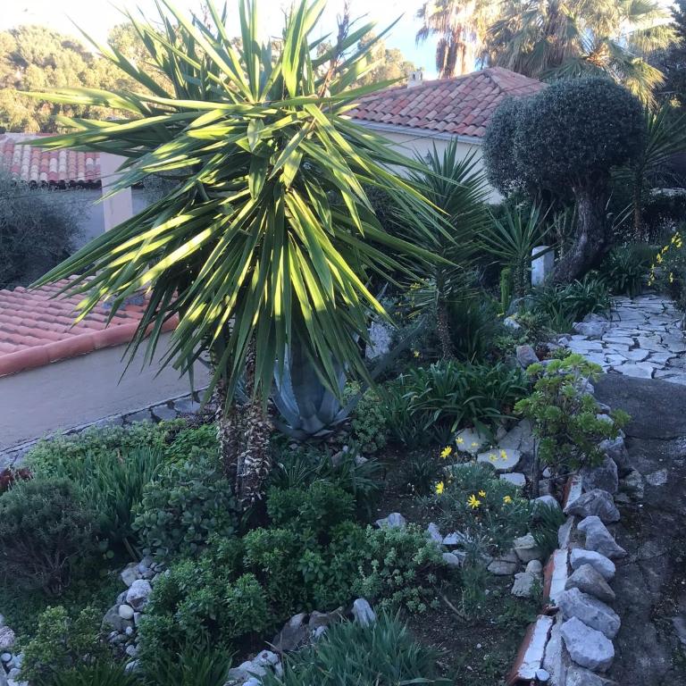 Appartement villa toit terrasse - Appartement 1 Chambre - 47