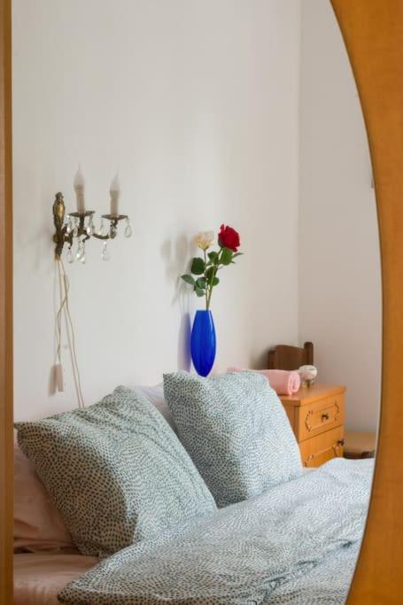 Made in Yugoslavia - Apartman sa 2 Spavaće Sobe - 16