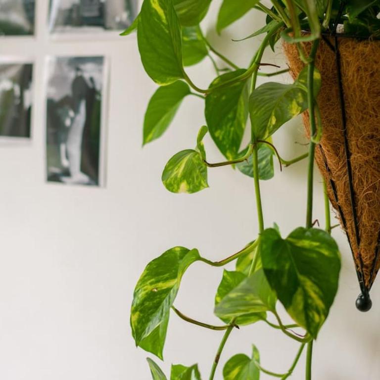 Made in Yugoslavia - Apartman sa 2 Spavaće Sobe - 21