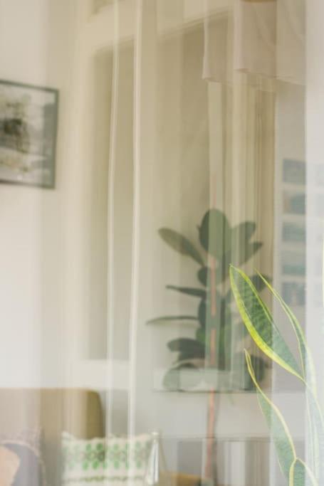 Made in Yugoslavia - Apartman sa 2 Spavaće Sobe - 39