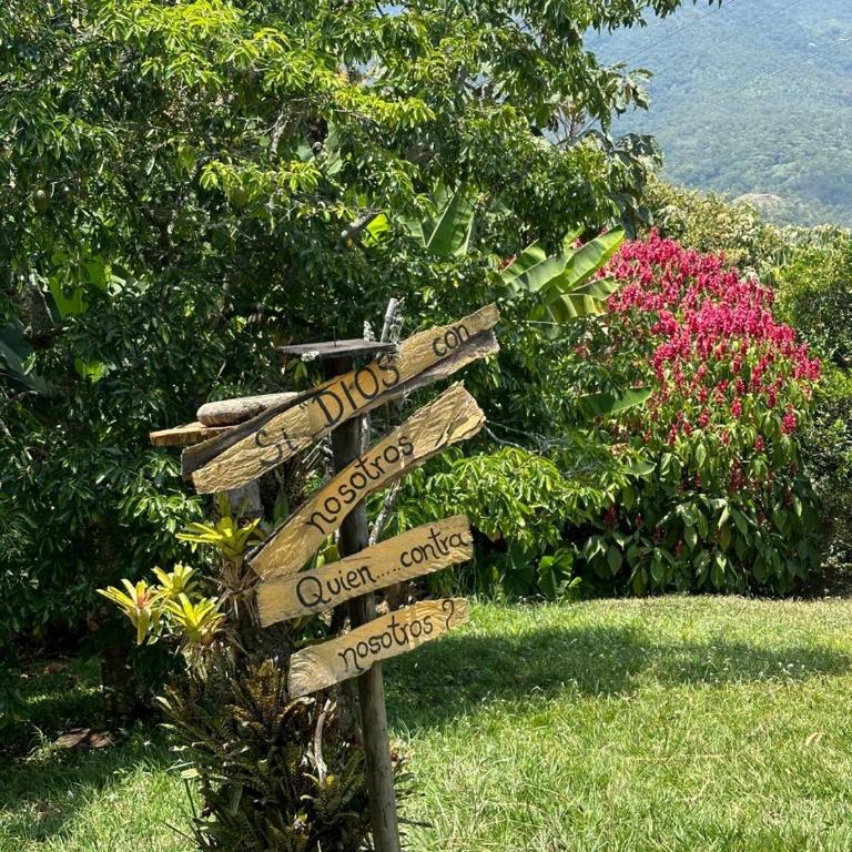 La Villa The View - Villa - 15