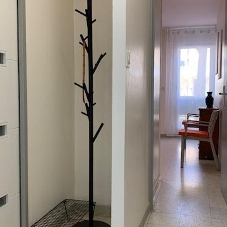 Charmant appartement proche des Thermes à Balaruc-les-Bains, animaux admis, climatisé - FR-1-503-11 - Appartement (4 Adultes) - 2