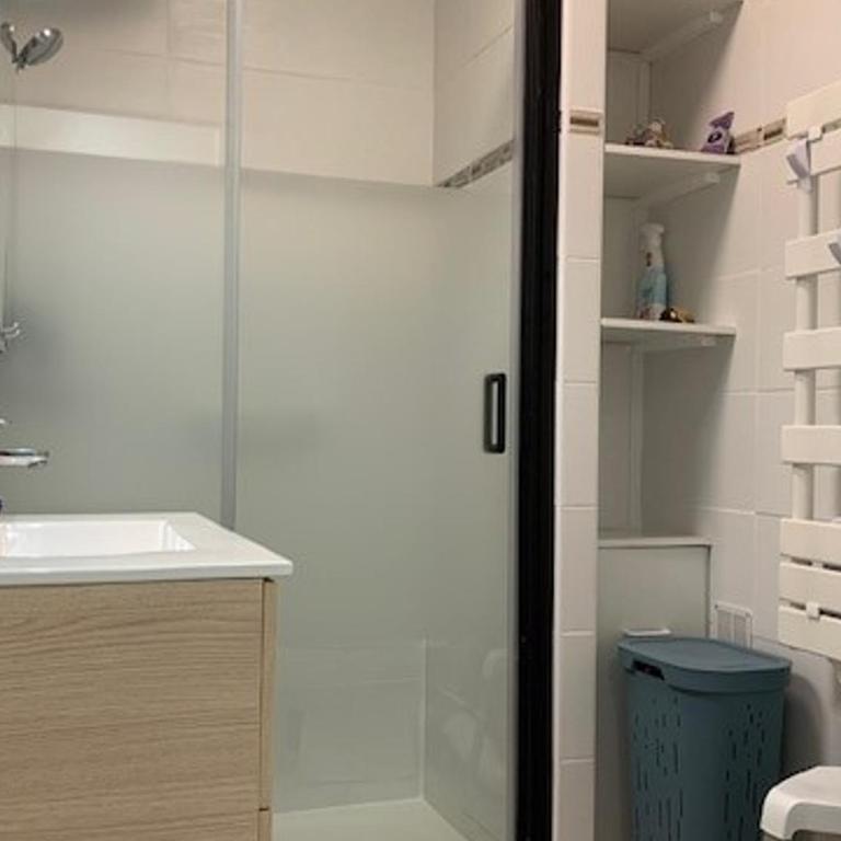 Charmant appartement proche des Thermes à Balaruc-les-Bains, animaux admis, climatisé - FR-1-503-11 - Appartement (4 Adultes) - 4