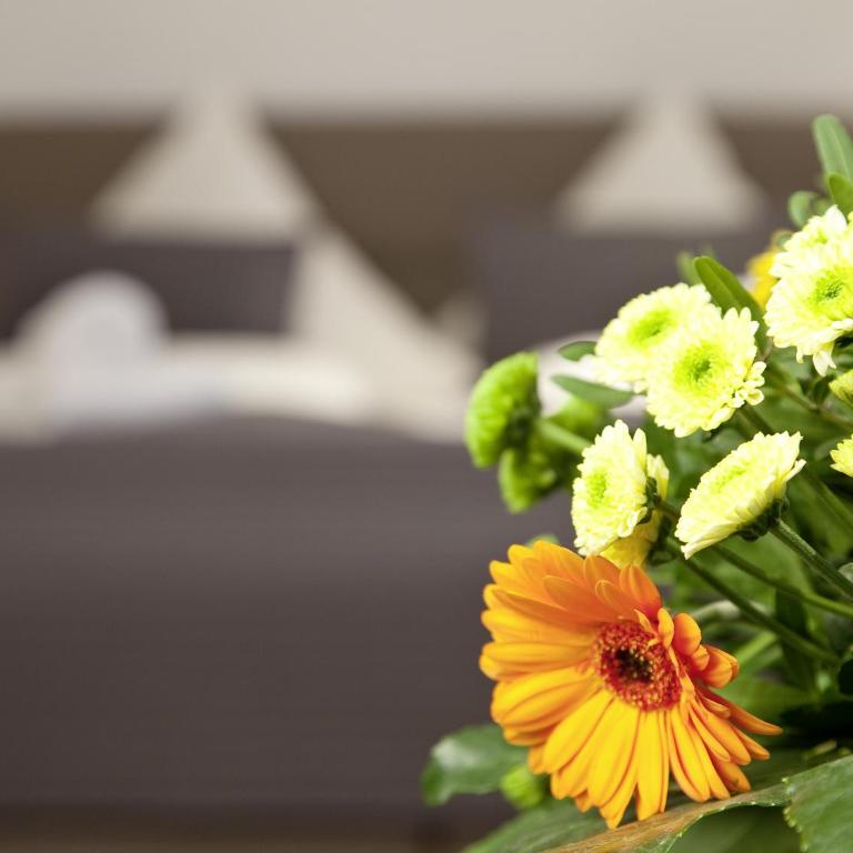 Central City Hotel - Superior Doppelzimmer (Nebengebäude) - 10