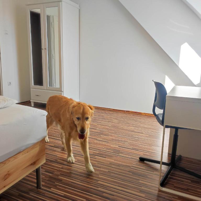 Haus Semmi - Appartamento Attico - 14