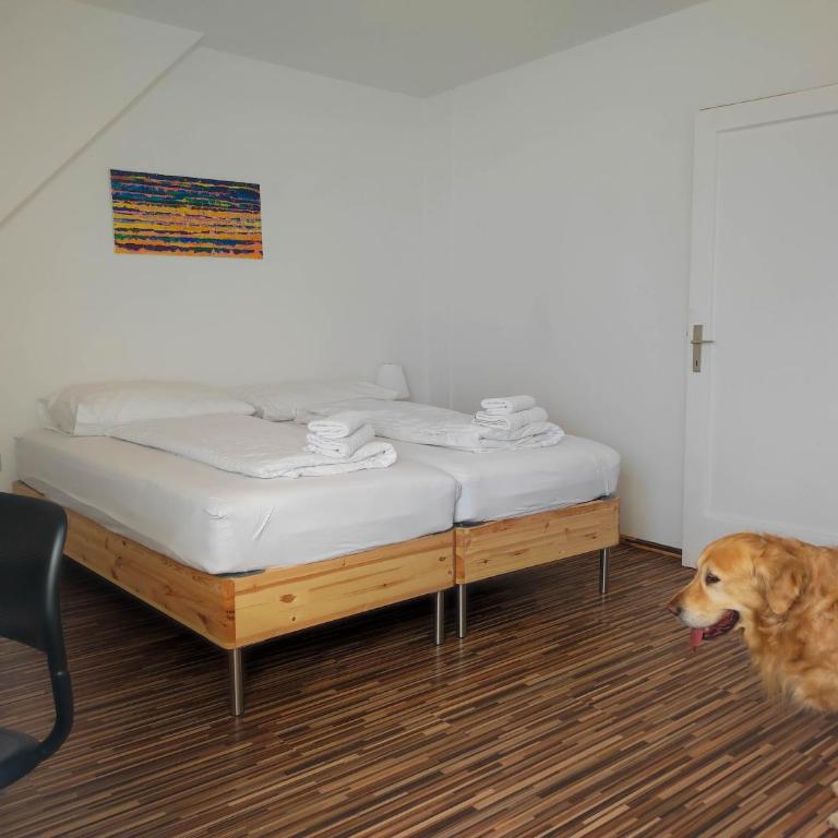 Haus Semmi - Appartamento Attico - 17