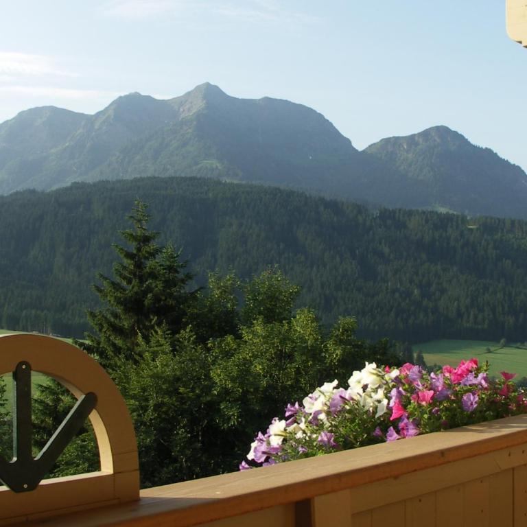 Ferienhof Obertenn - Comfort Apartment mit 1 Schlafzimmer und Balkon - 9