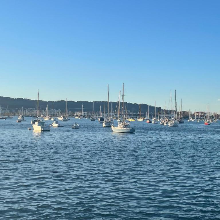 Hendaye Plage avec Jardin, Piscine, Parking, Wifi, proche Plage-Beach-Playa - Appartement - Vue sur Jardin - 5