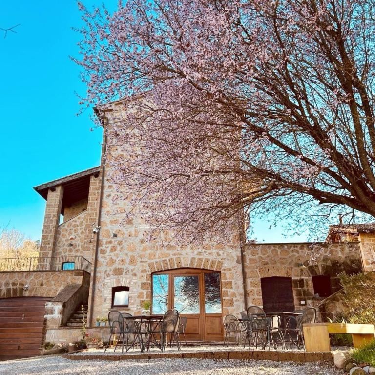 CasalPiano - Villa Deluxe - 4