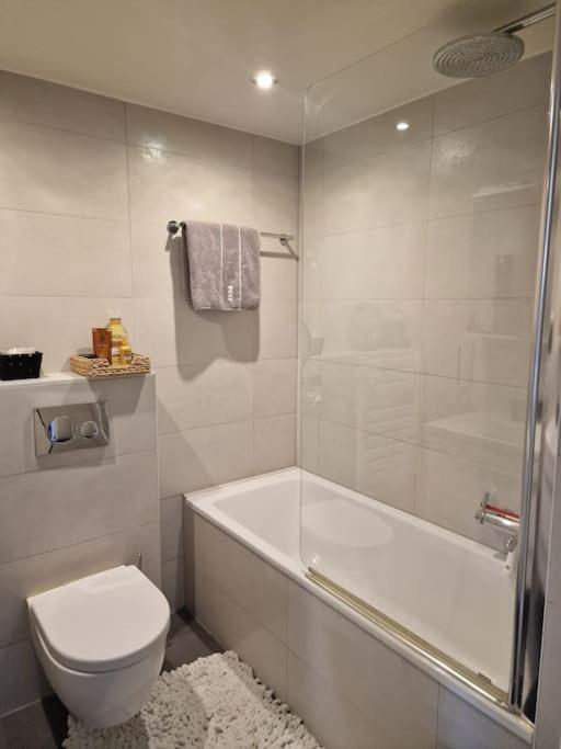 Appartement de standing au centre de Genève - Appartement 1 Chambre - 8