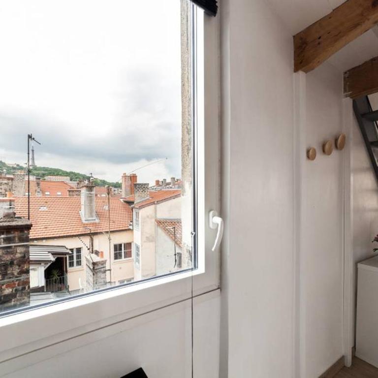 AllinLyon | Duplex vue St-Nizier - Appartement - 13