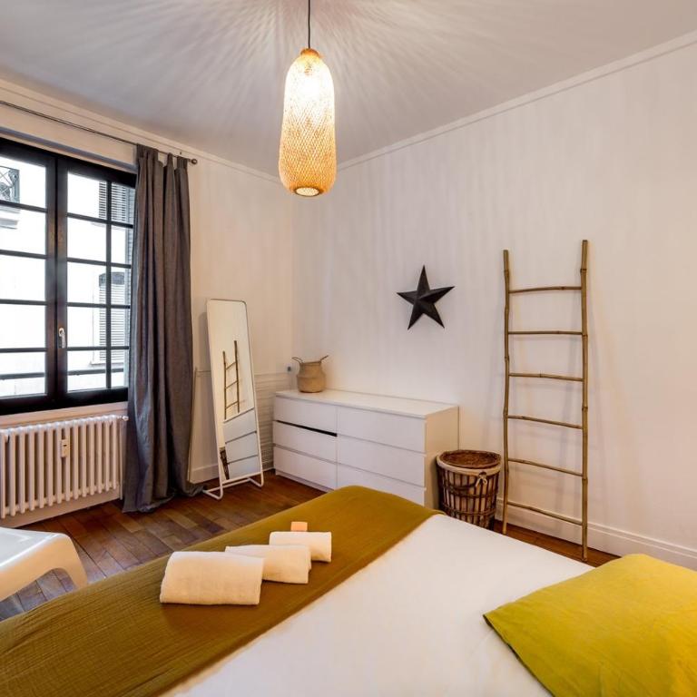 HYPER CENTRE 4 RUE EMILE ZOLA BELLECOUR JACOBINS CELESTINS Wifi ASCENSEUR - Apartment - 8