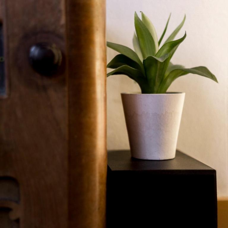 All in Lyon | Studio authentique Vieux Lyon - Appartement - 13