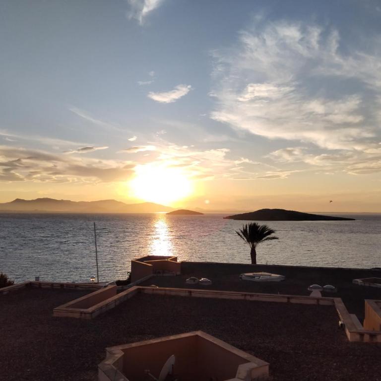 Apartamento exclusivo - Apartamento de 2 dormitorios - 32