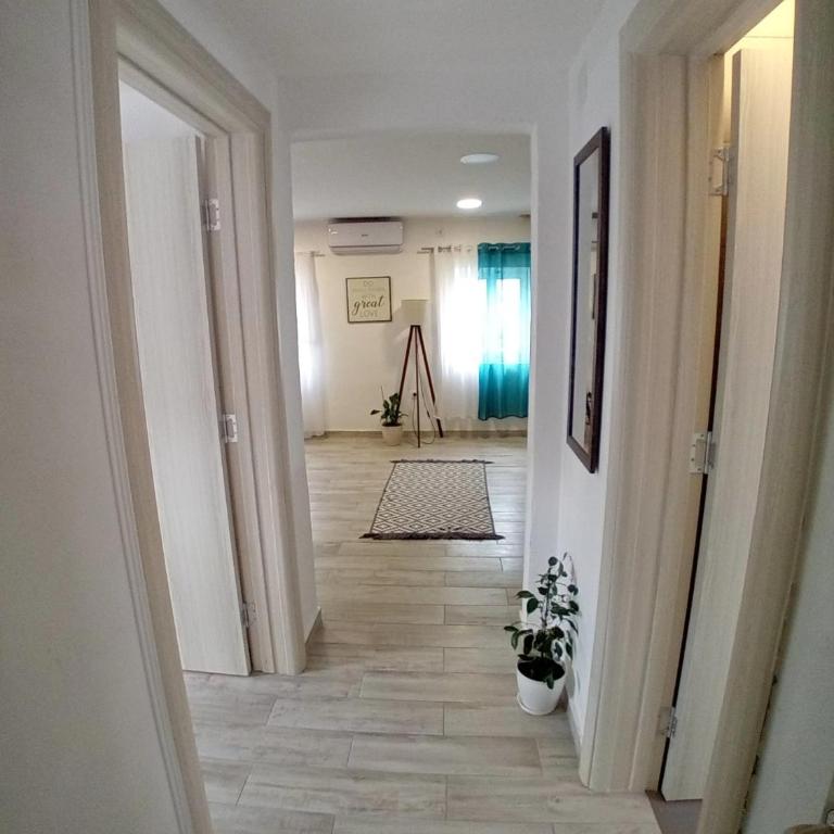 Kiwi Apartments Budva - Apartman sa 1 Spavaćom Sobom - 7