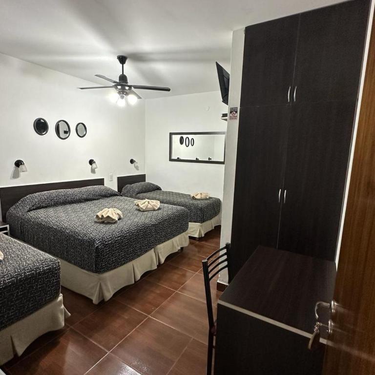 Hotel Quito - Habitación cuádruple - 3