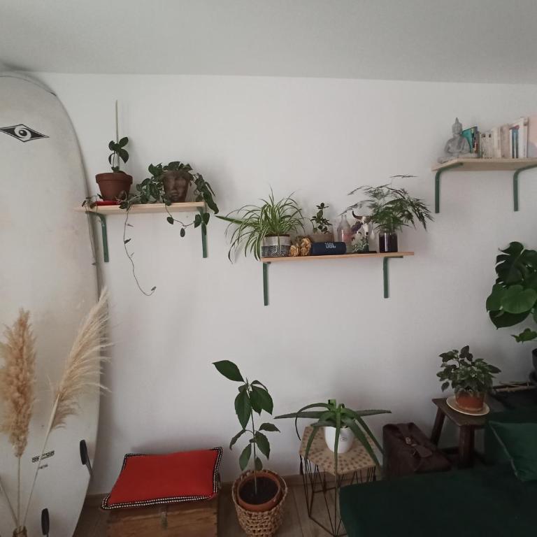 T2 hyper centre - Appartement 1 Chambre - 10