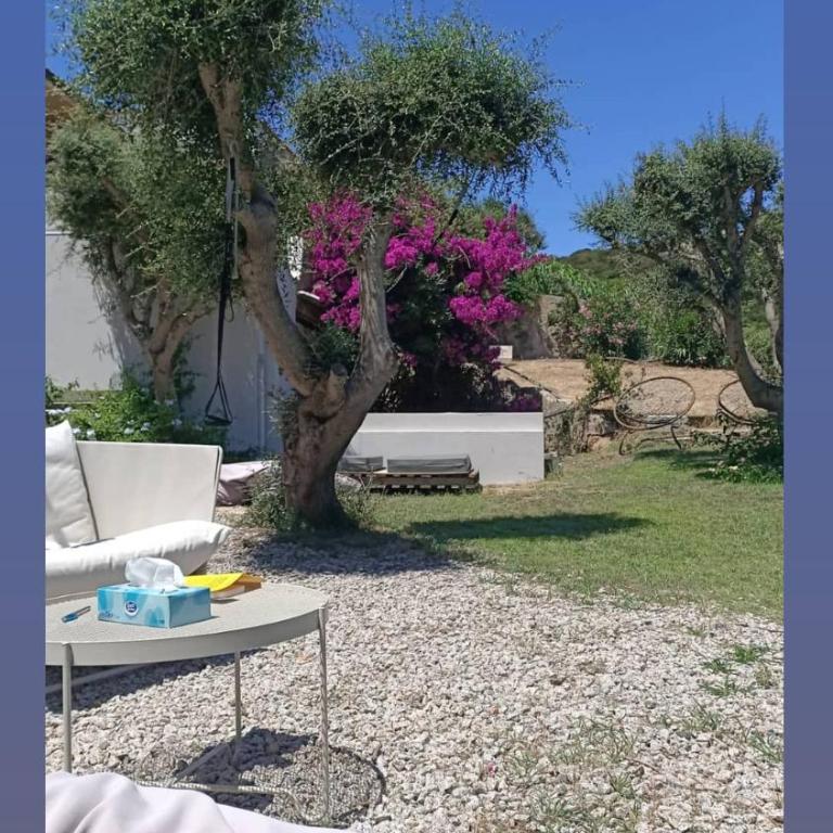 Via Romagna 6 P6091 - Two-Bedroom House - 9
