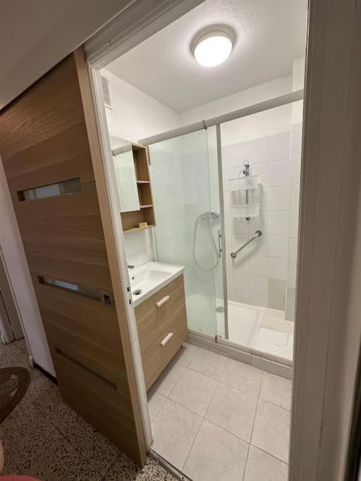 Ravissant T2 en entrée de ville climatisation et parking gratuit - Appartement 1 Chambre - 12