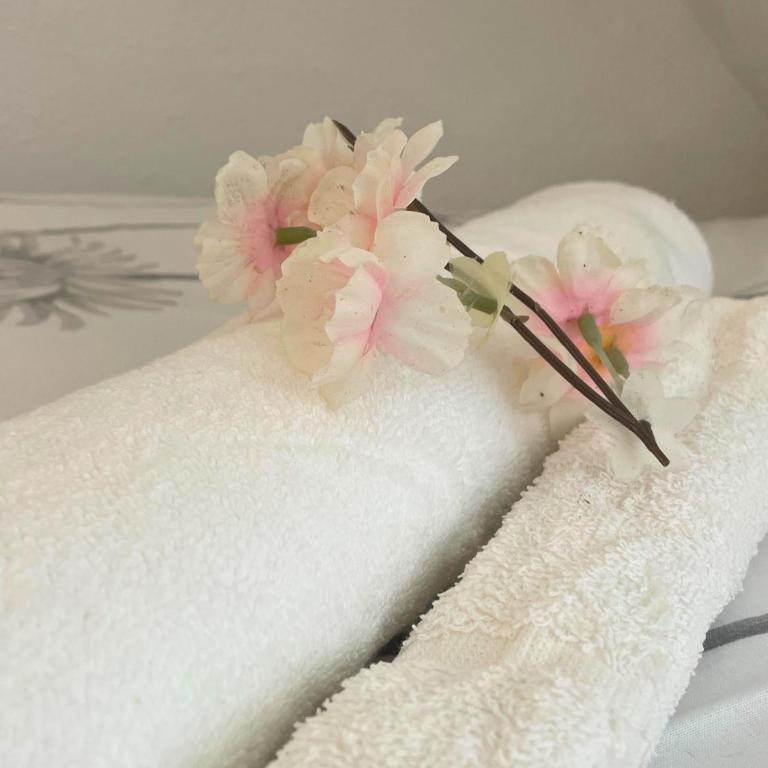 [Rêve Rose] Studio Équipé, Wifi, Vue - Appartamento con 1 Camera da Letto - 13