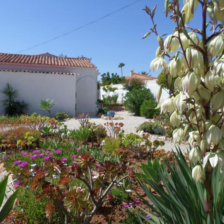 Villa Linda - Villa de 3 dormitorios - 2