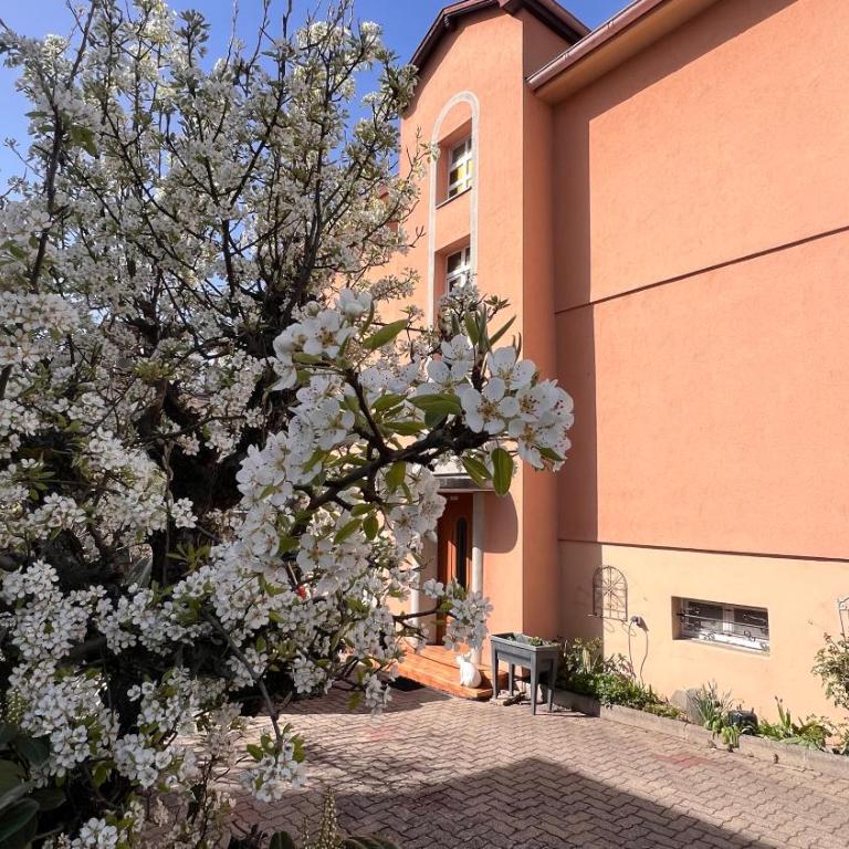 T3 VÉRANDA BUREAU à STRASBOURG - Appartamento con 2 Camere da Letto - 1