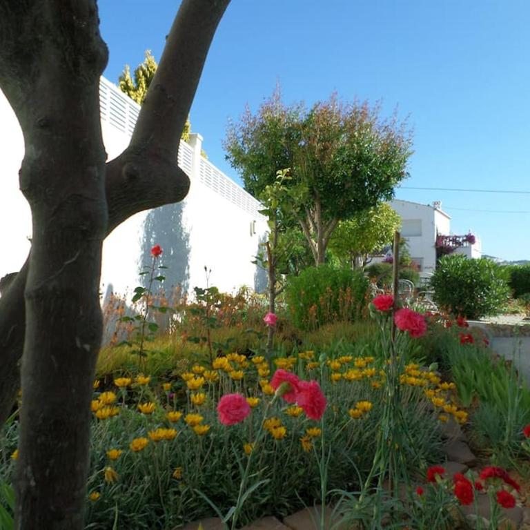 Villa Linda - Villa de 3 dormitorios - 17