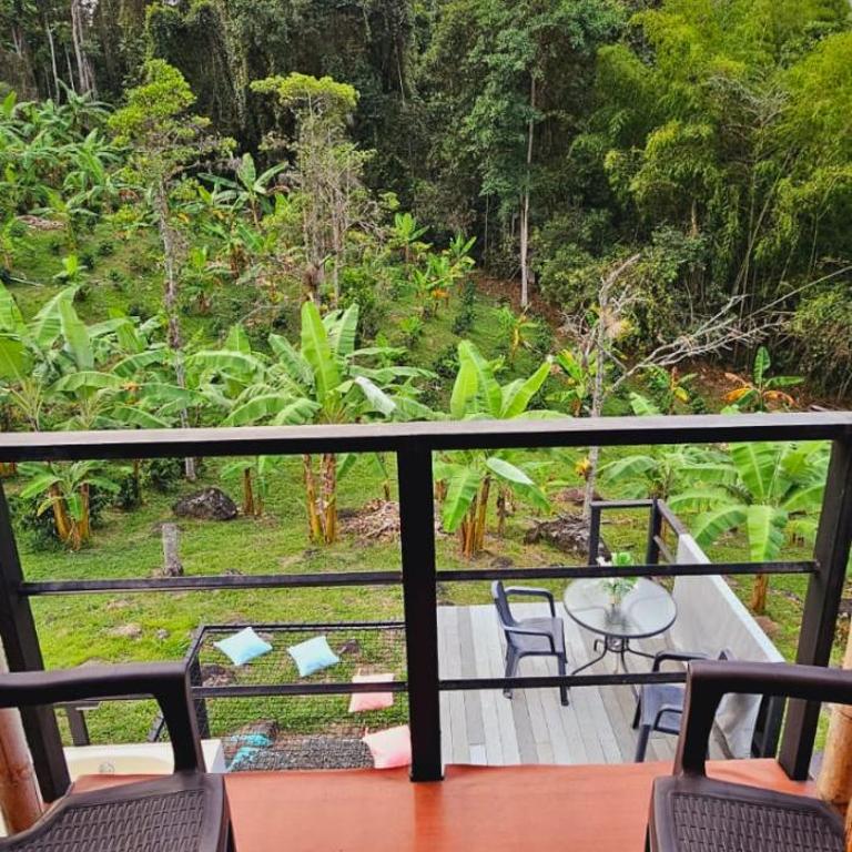 Glamping y Cabañas Alpina - Two-Bedroom Chalet - 15