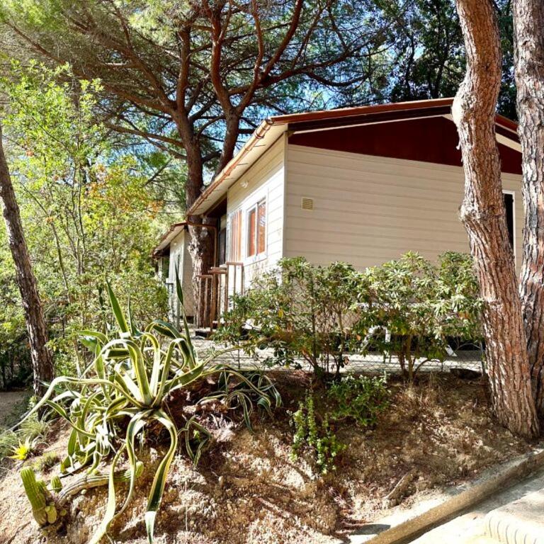 Camping Village La Sorgente - Bungalow Standard - 4